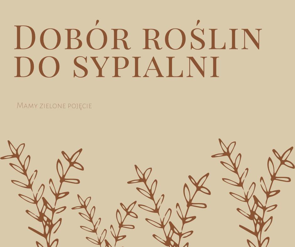 dobr1