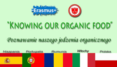 erasmus